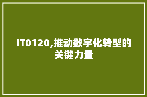 IT0120,推动数字化转型的关键力量