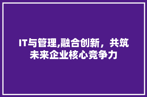 IT与管理,融合创新，共筑未来企业核心竞争力