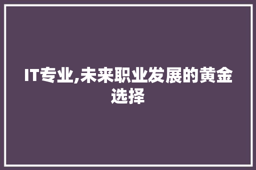 IT专业,未来职业发展的黄金选择