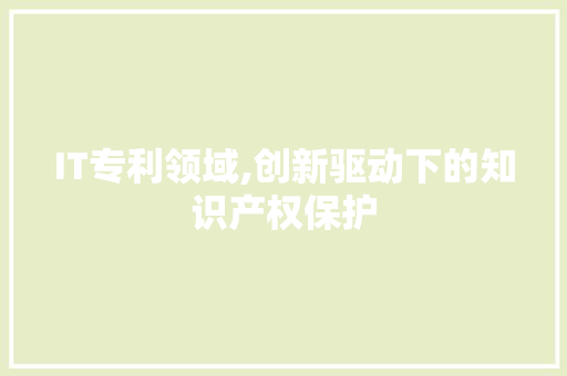 IT专利领域,创新驱动下的知识产权保护