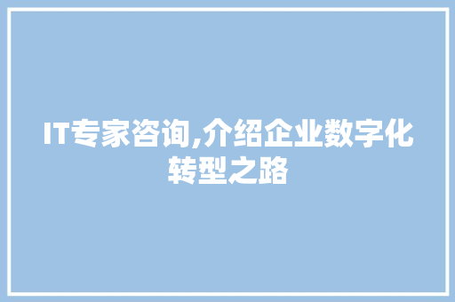 IT专家咨询,介绍企业数字化转型之路