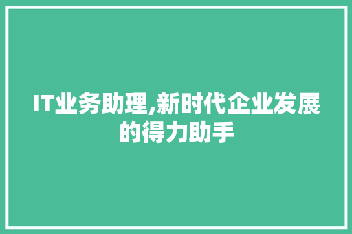 IT业务助理,新时代企业发展的得力助手
