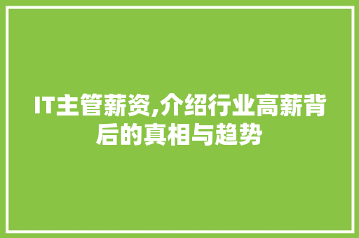 IT主管薪资,介绍行业高薪背后的真相与趋势
