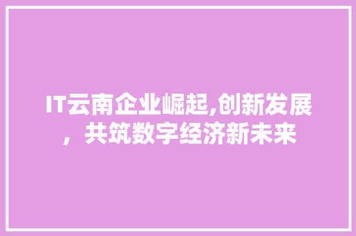 IT云南企业崛起,创新发展，共筑数字经济新未来