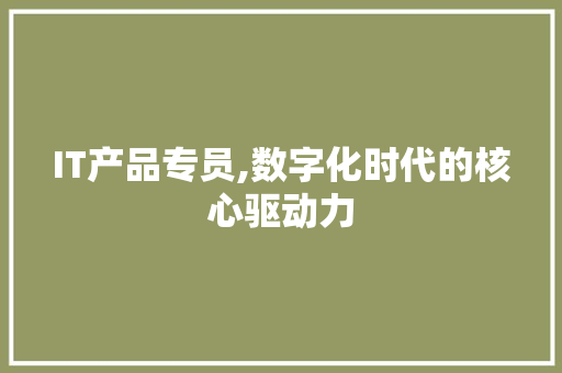 IT产品专员,数字化时代的核心驱动力
