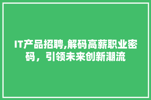 IT产品招聘,解码高薪职业密码，引领未来创新潮流