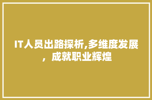 IT人员出路探析,多维度发展，成就职业辉煌
