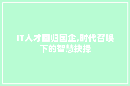 IT人才回归国企,时代召唤下的智慧抉择