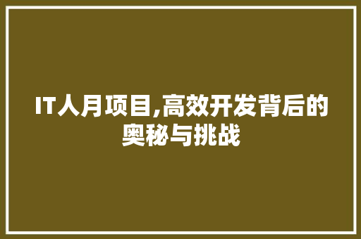 IT人月项目,高效开发背后的奥秘与挑战
