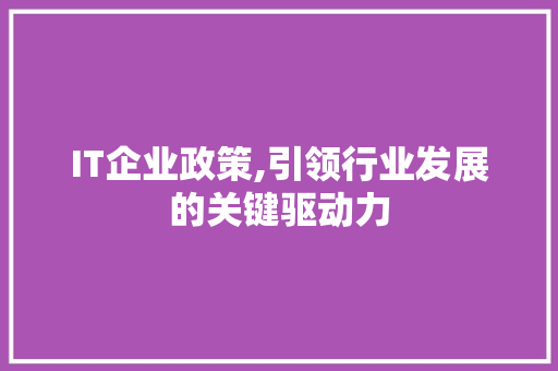 IT企业政策,引领行业发展的关键驱动力