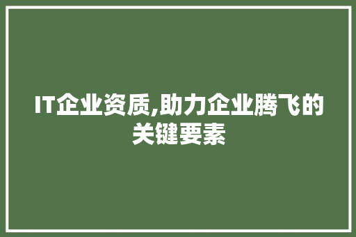 IT企业资质,助力企业腾飞的关键要素 友链在线