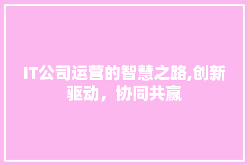 IT公司运营的智慧之路,创新驱动，协同共赢