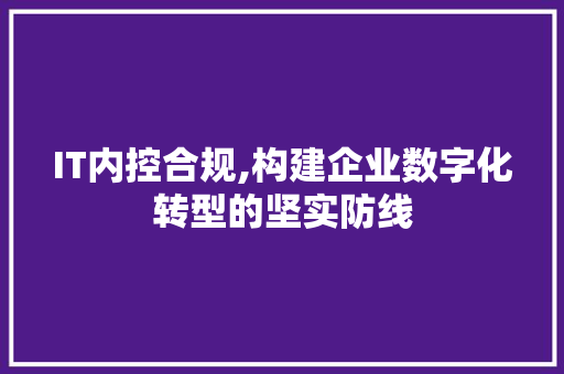 IT内控合规,构建企业数字化转型的坚实防线