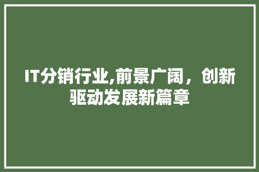 IT分销行业,前景广阔，创新驱动发展新篇章