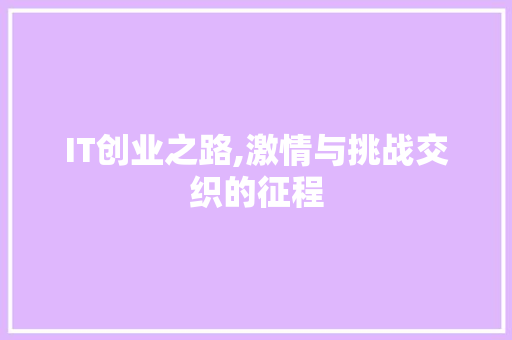 IT创业之路,激情与挑战交织的征程