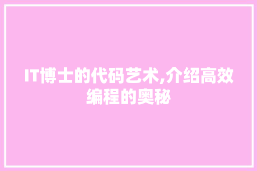 IT博士的代码艺术,介绍高效编程的奥秘
