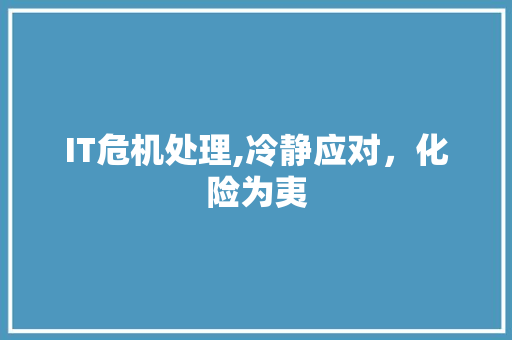 IT危机处理,冷静应对，化险为夷