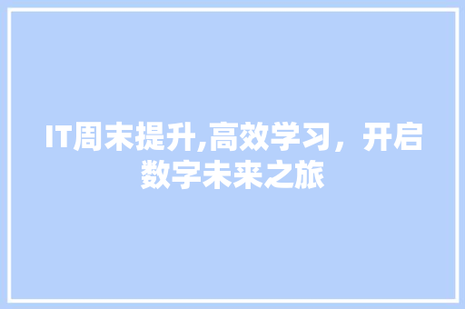IT周末提升,高效学习，开启数字未来之旅
