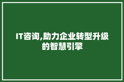 IT咨询,助力企业转型升级的智慧引擎