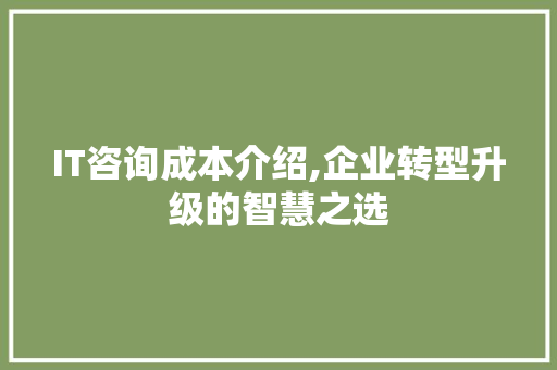 IT咨询成本介绍,企业转型升级的智慧之选