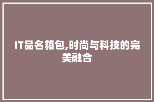 IT品名箱包,时尚与科技的完美融合