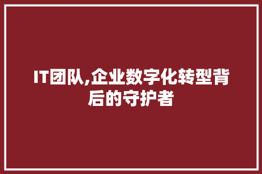 IT团队,企业数字化转型背后的守护者