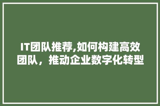 IT团队推荐,如何构建高效团队，推动企业数字化转型