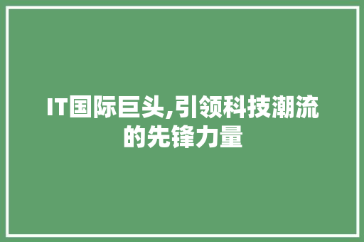 IT国际巨头,引领科技潮流的先锋力量