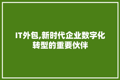 IT外包,新时代企业数字化转型的重要伙伴