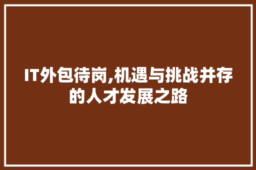 IT外包待岗,机遇与挑战并存的人才发展之路