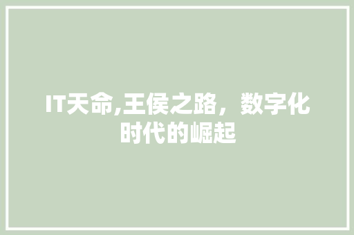 IT天命,王侯之路，数字化时代的崛起