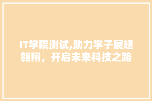 IT学院测试,助力学子展翅翱翔，开启未来科技之路