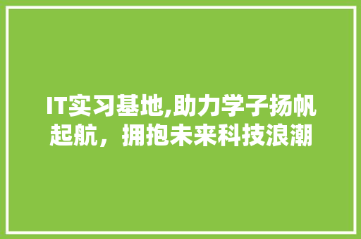 IT实习基地,助力学子扬帆起航，拥抱未来科技浪潮