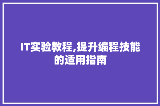 IT实验教程,提升编程技能的适用指南