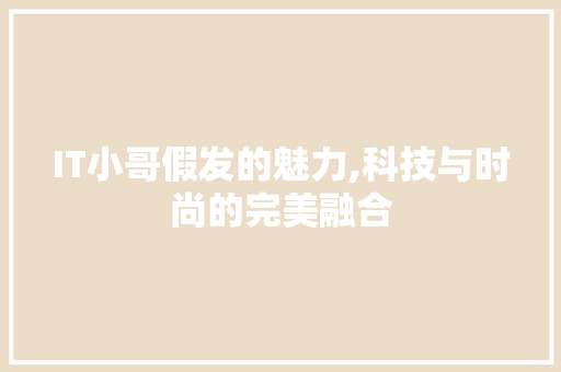 IT小哥假发的魅力,科技与时尚的完美融合