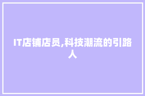IT店铺店员,科技潮流的引路人