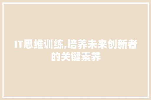 IT思维训练,培养未来创新者的关键素养 SEO教程