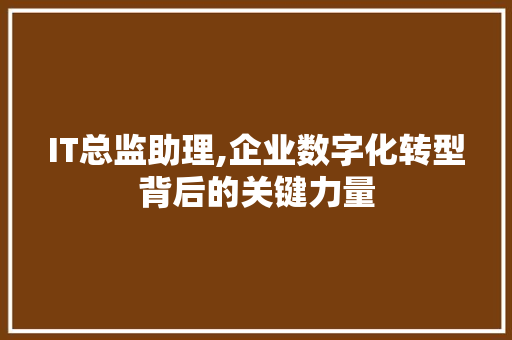 IT总监助理,企业数字化转型背后的关键力量