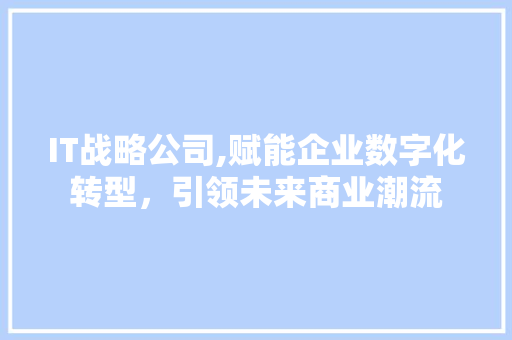 IT战略公司,赋能企业数字化转型，引领未来商业潮流 SEO教程