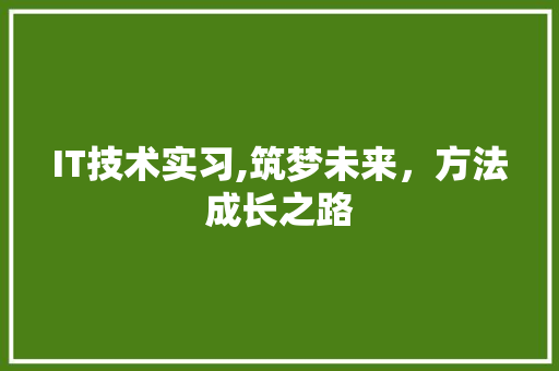 IT技术实习,筑梦未来，方法成长之路