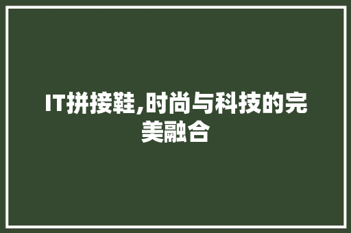 IT拼接鞋,时尚与科技的完美融合 IT拼接鞋,时尚与科技的完美融合