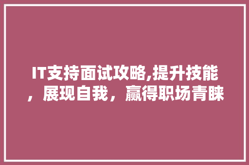 IT支持面试攻略,提升技能，展现自我，赢得职场青睐