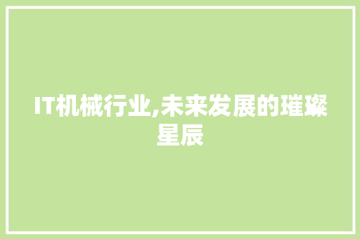 IT机械行业,未来发展的璀璨星辰