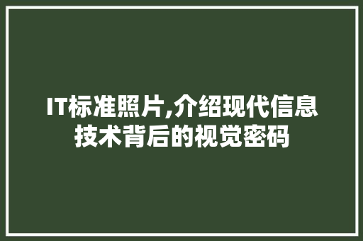 IT标准照片,介绍现代信息技术背后的视觉密码