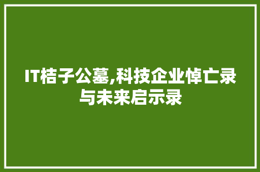 IT桔子公墓,科技企业悼亡录与未来启示录
