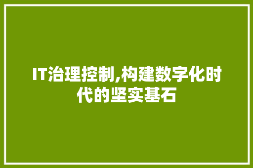 IT治理控制,构建数字化时代的坚实基石