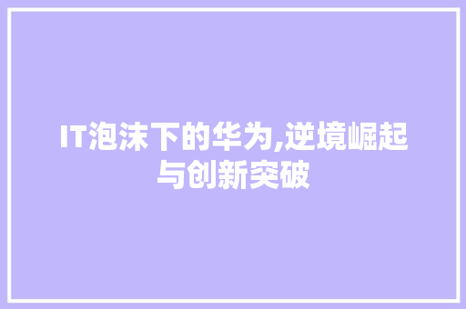 IT泡沫下的华为,逆境崛起与创新突破