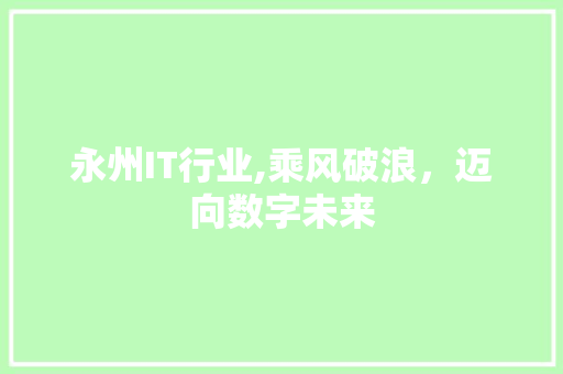 永州IT行业,乘风破浪，迈向数字未来