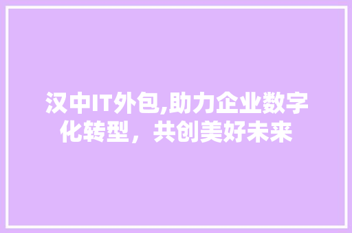 汉中IT外包,助力企业数字化转型，共创美好未来