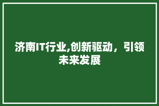 济南IT行业,创新驱动，引领未来发展
